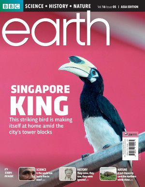 BBC Earth Magazine: Singapore King (Vol.16 Issue 5)